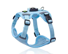 Reflective Dog Harness in Use