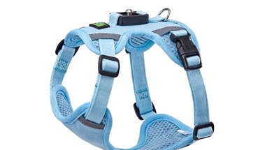 Magnetic Buckle Dog Harness vs Traditional Buckle Harness: Which Is Better?