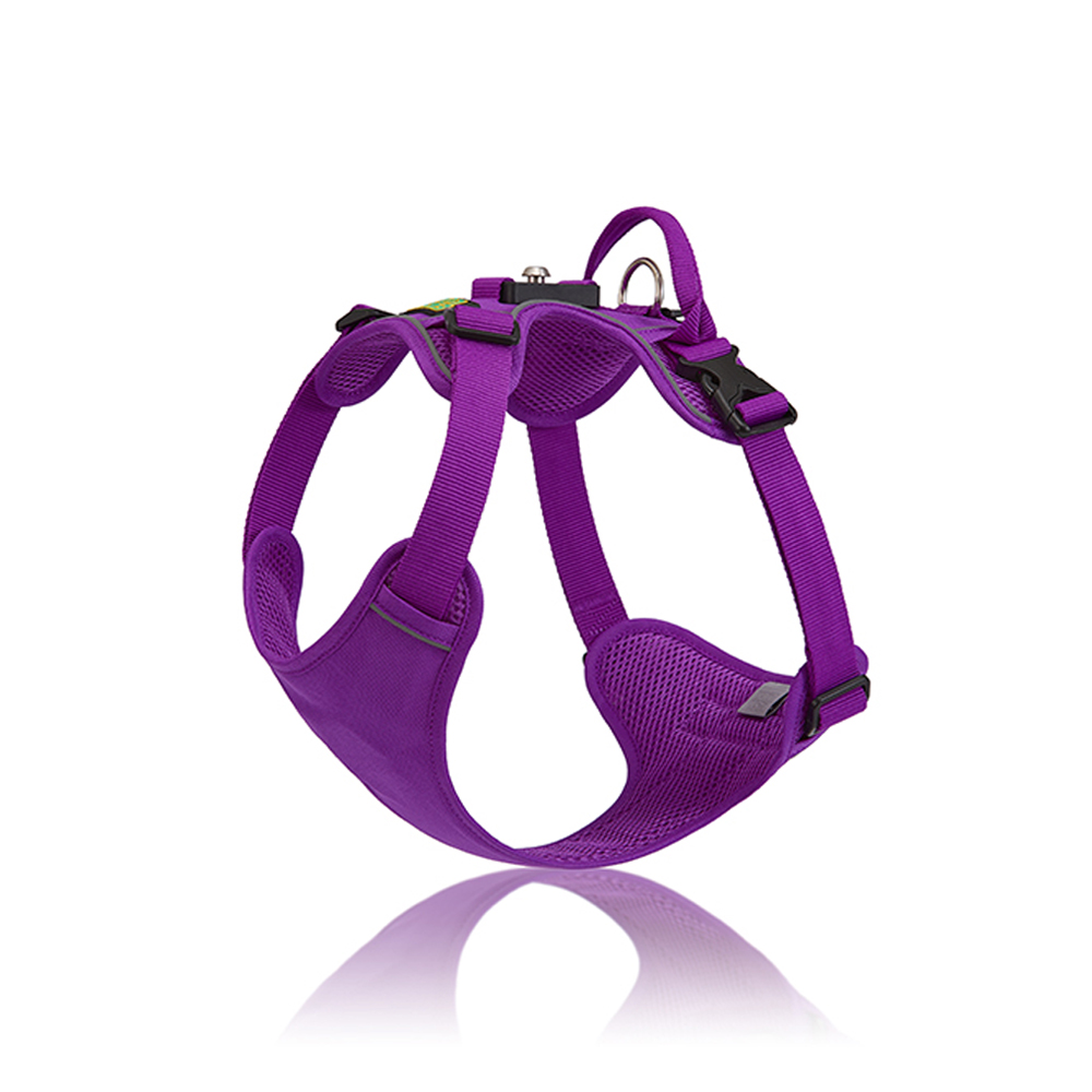 Where a Dog Harness With Handle Fits Into Canine Rehab and Physical Therapy