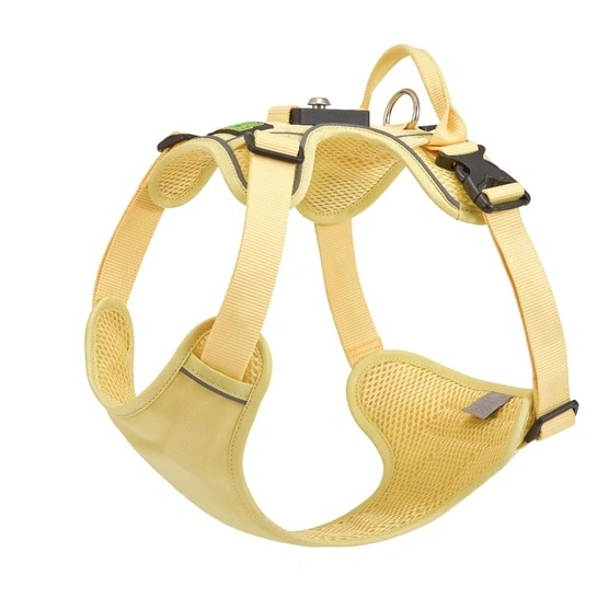 Why Webbing Width Decides Whether a Large Dog Harness Fails Under Load