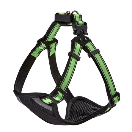 When a Lightweight Dog Harness Is the Wrong Choice for Your Dog