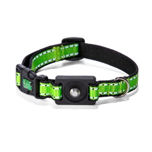 Why a Magnetic Buckle Dog Collar and a Matching Harness Work Better as One System