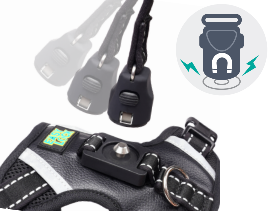 What Buyers Should Verify Before Ordering a Custom Magnetic Dog Harness