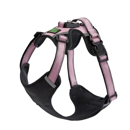 When to Switch From Collar to a Puppy Dog Harness: A Growth-Stage Guide