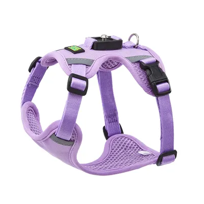 How to Stop a Small Dog Harness From Riding Up on Toy Breeds