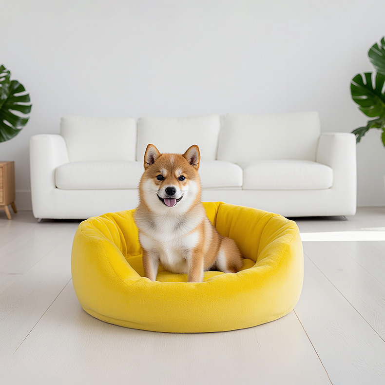How to Choose a Plush Pet Sofa That Pets Actually Love