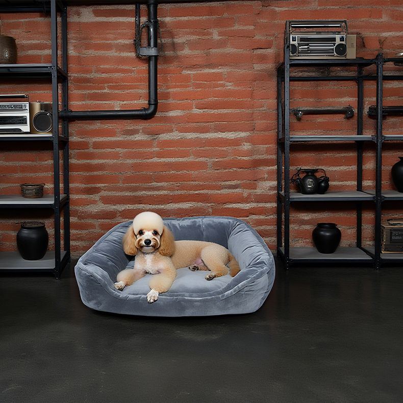 How to Choose a Plush Pet Bed for Better Pet Sleep