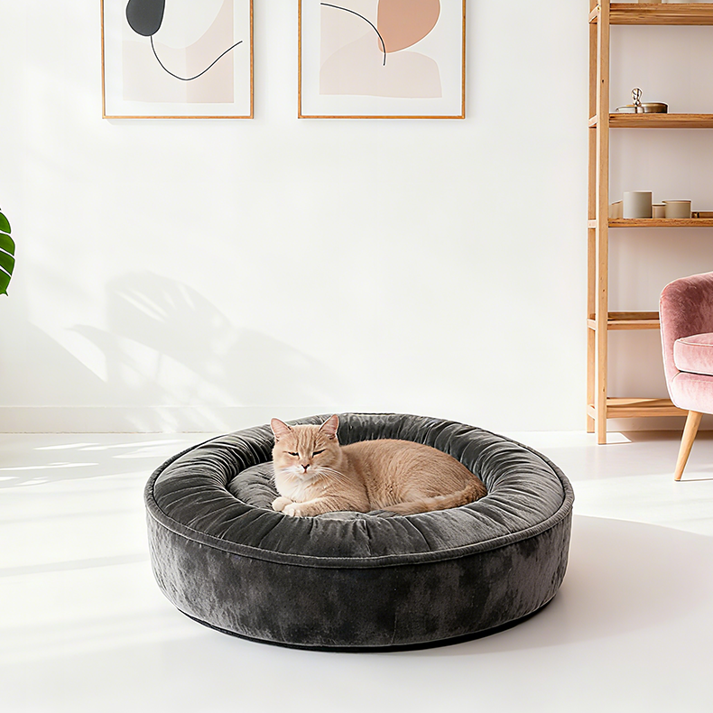 Pet Mat Materials Compared: Which Option Is Best for Dogs and Cats?