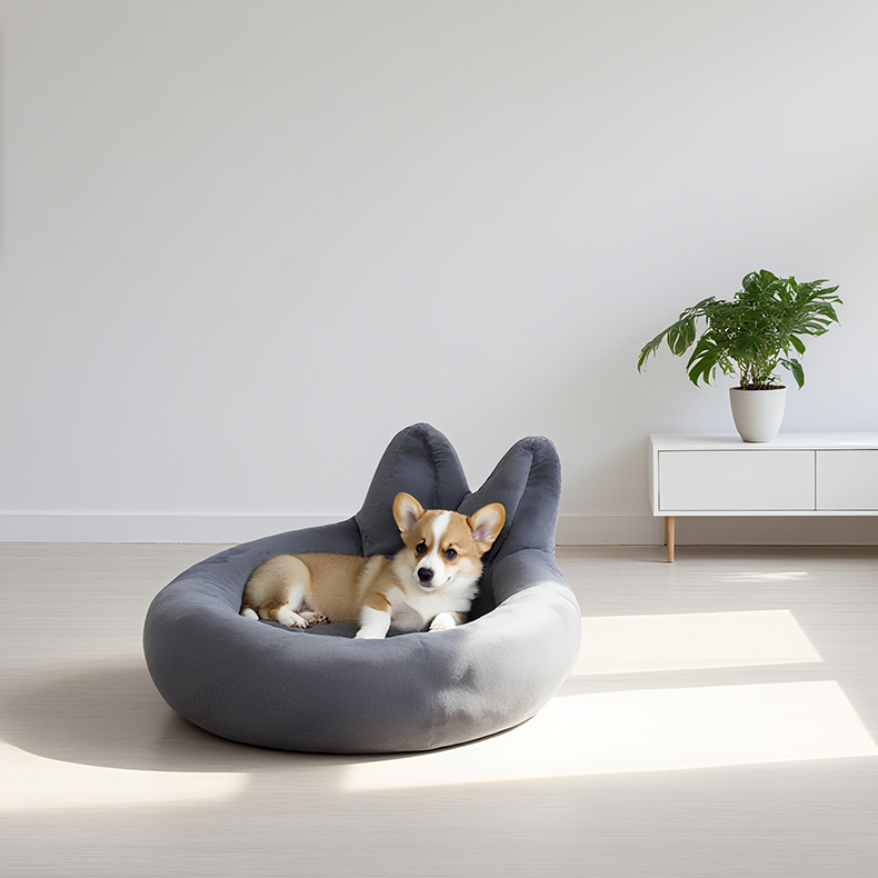A Practical Guide to Choosing the Right Pet Mat for Different Pets