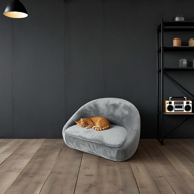 5 Features to Look for Before Buying a Plush Pet Sofa