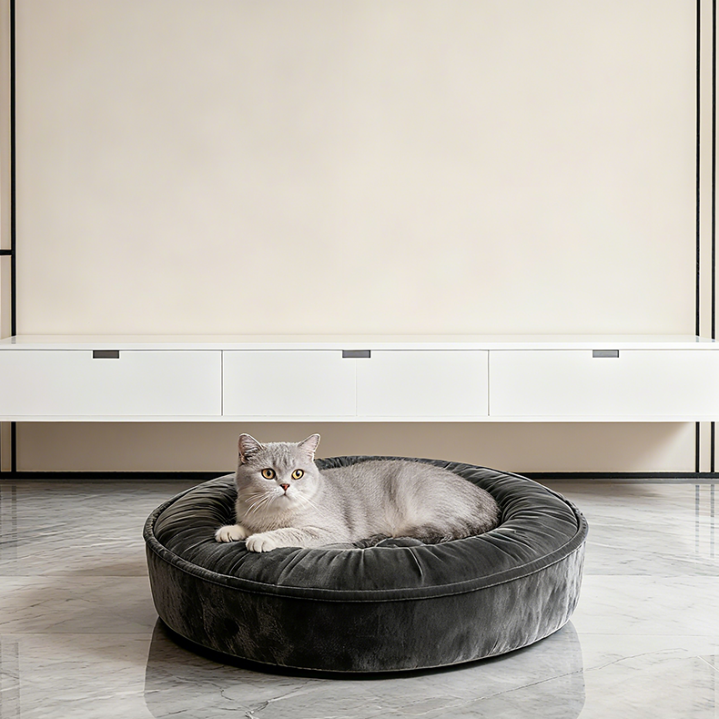 7 Things to Consider Before Buying a Plush Pet Bed