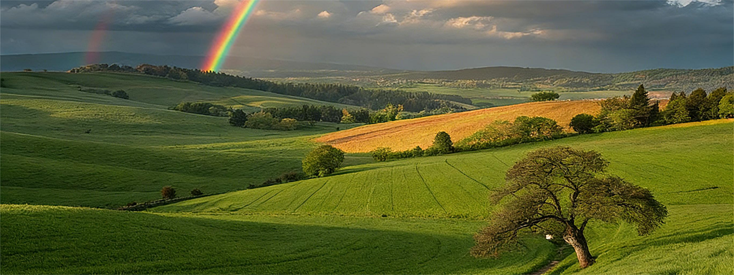 Our Sustainability Value