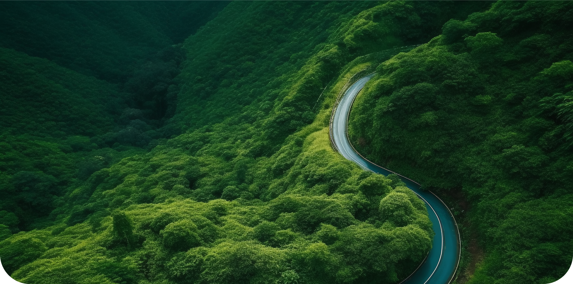 sustainability-hero-bg