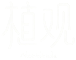 nattitude