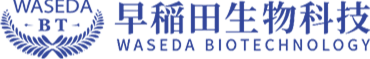 Waseda Biotechnology Co., Ltd.