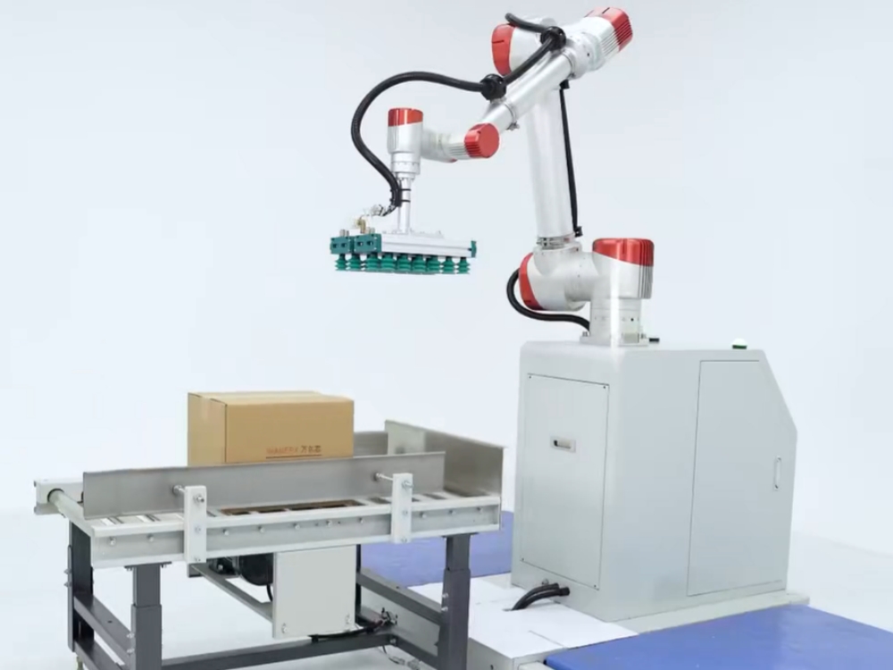 Wanerx 30 kg Collaborative Palletizer Introduction