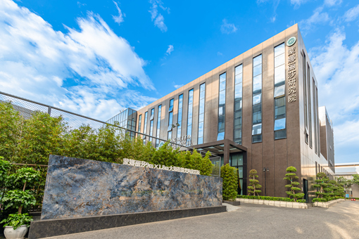 Lab analysis of mineral dust