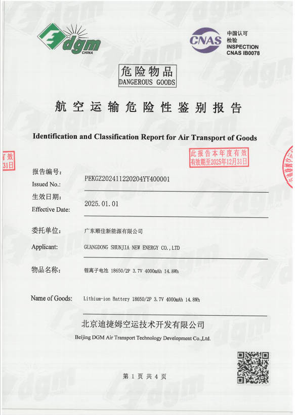 Shunjia 18650 2P - Air Freight