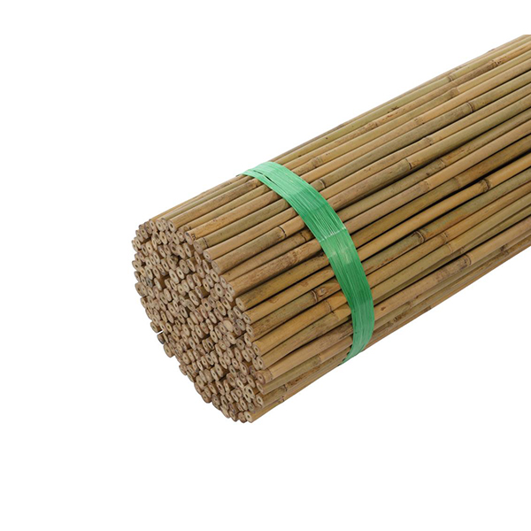Bamboo Canes