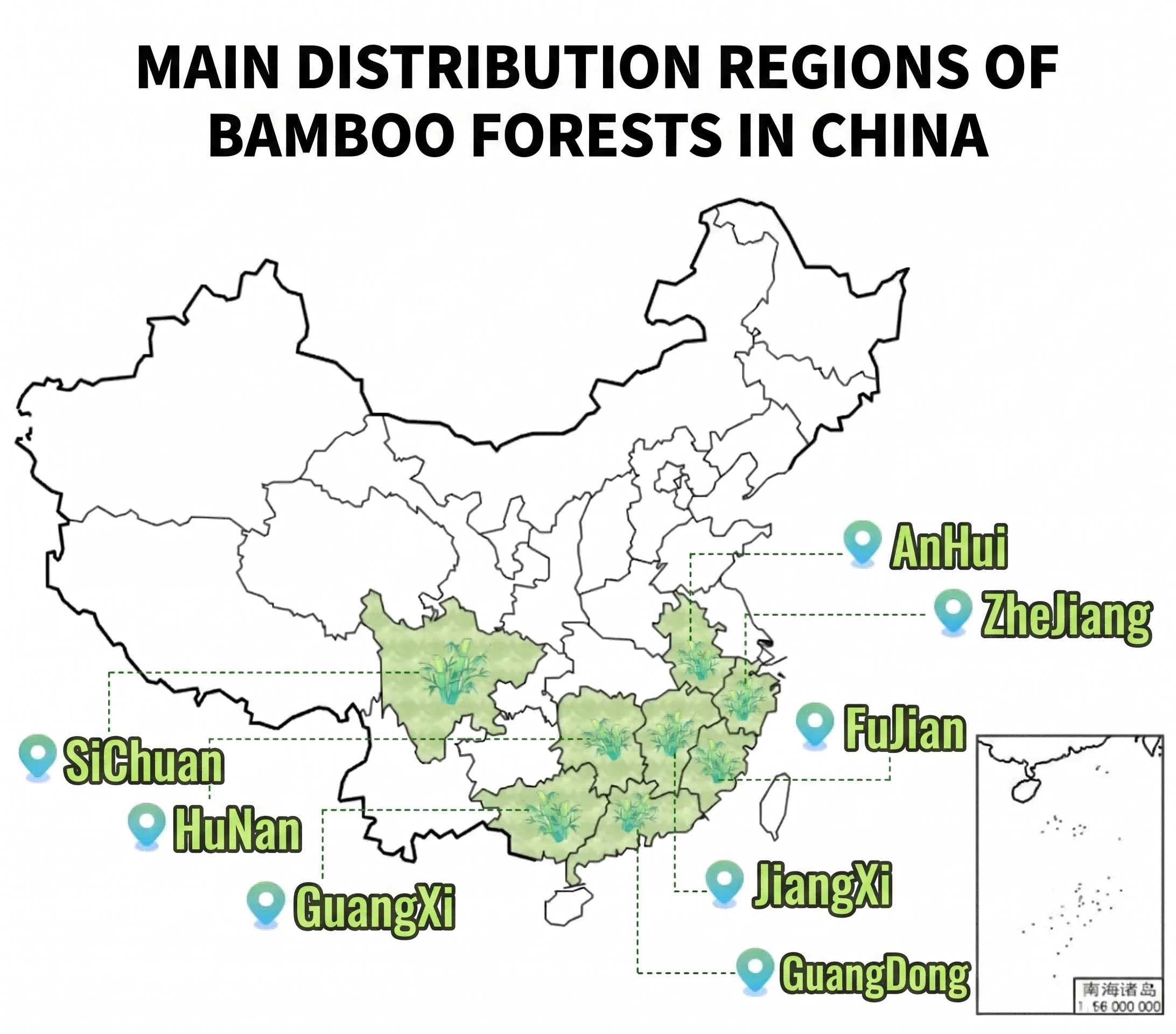 Tonkin Bamboo Stakes Supplier Guide: Comparing Regional Bamboo Varieties