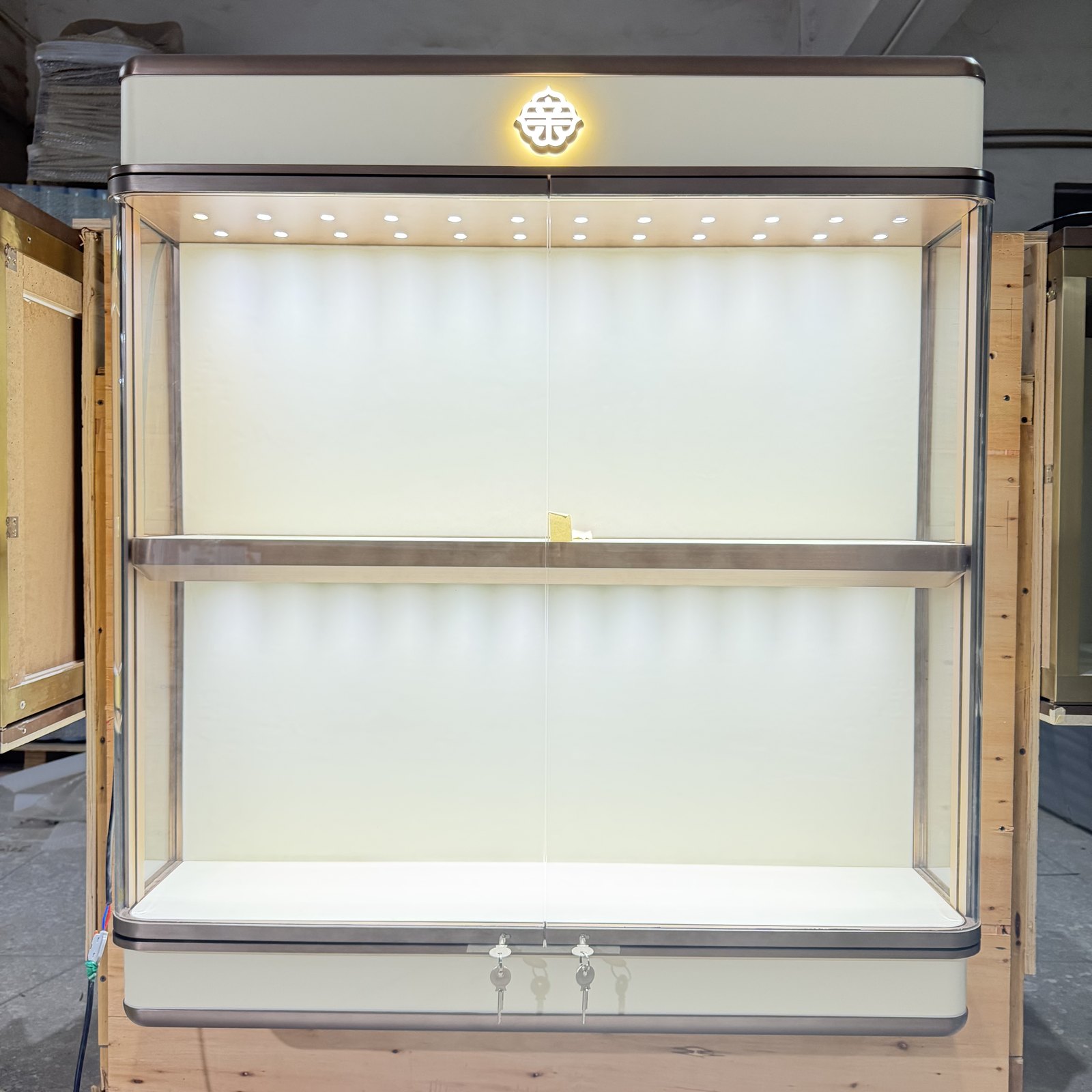 Illuminated jewelry wall showcase with glass shelves and metallic trim in a workshop