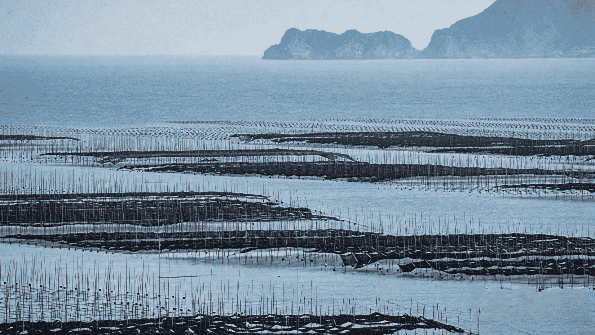 Ecological Origin & Whole-Chain Assurance