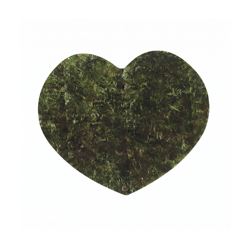 Heart shape Seaweed