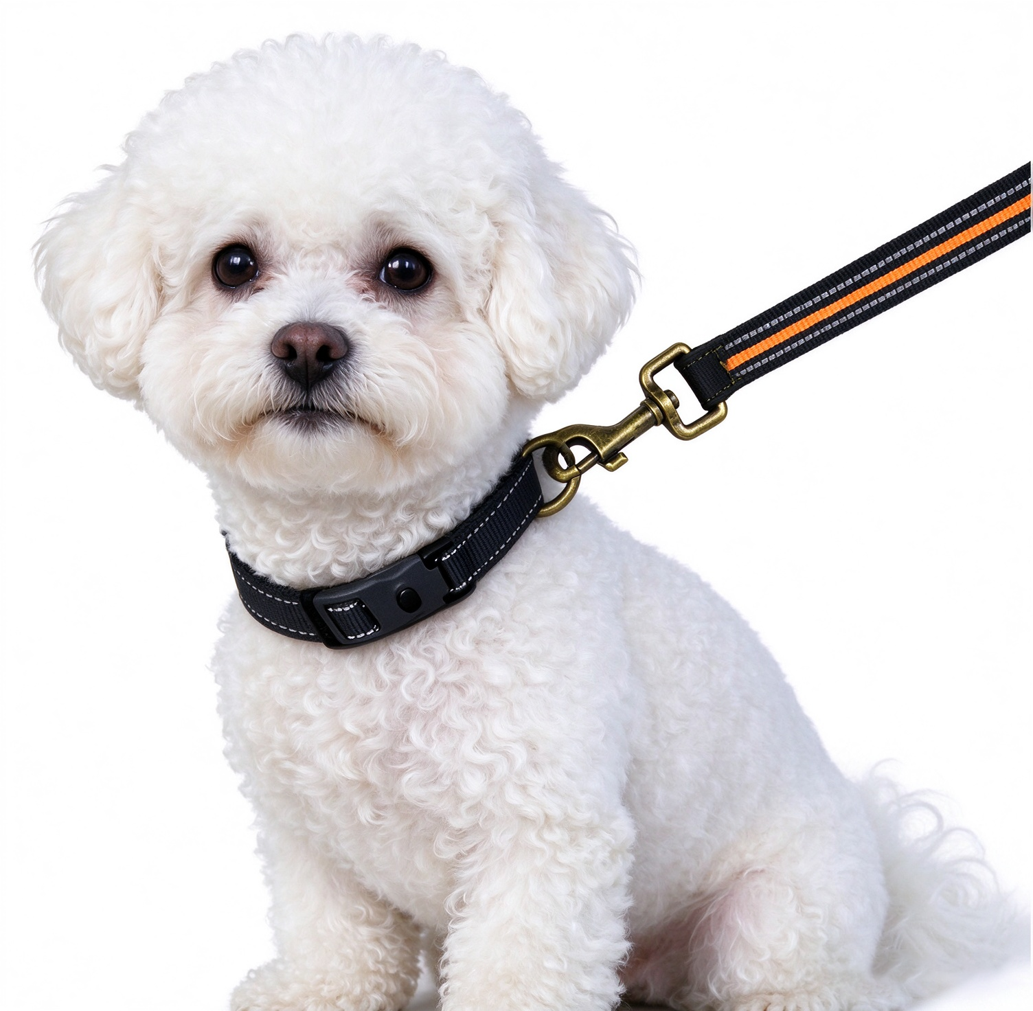 Durable Multi‑Color Reflective Polyester Webbing Material for Retractable Pet Leash Manufacturing