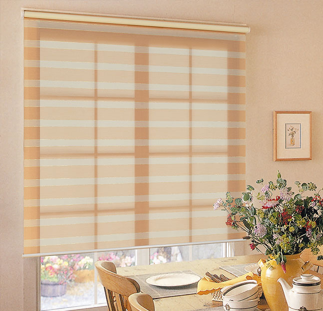 Transform Your Space with Zebra Blinds: A Perfect Blend of Style and Function