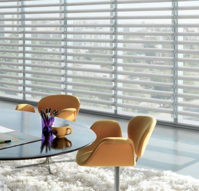 Understand the functions and features of Motorized Sheer Shade