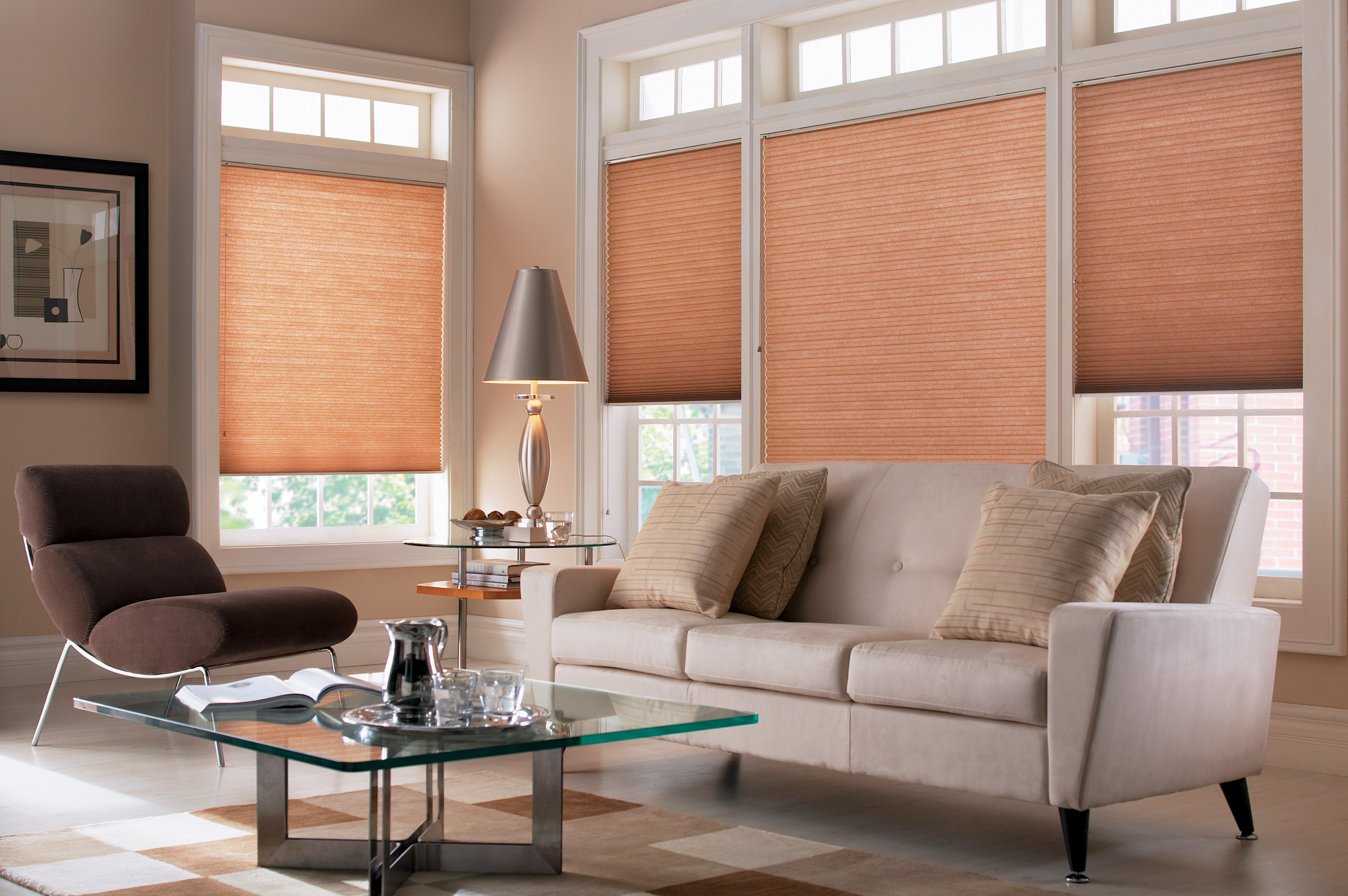 cellular shades for living room scenes