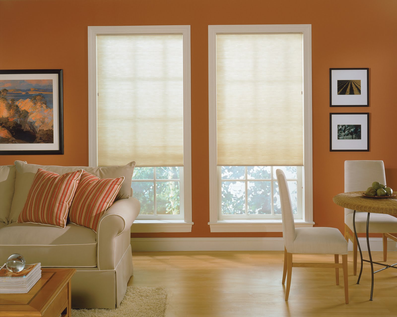 cellular shades in front of home viewing windows