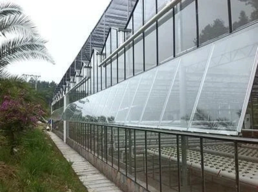 How to Choose Greenhouse Fans?