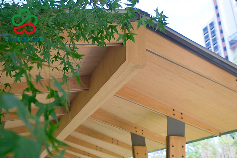 Bamboo corrider and architecture application