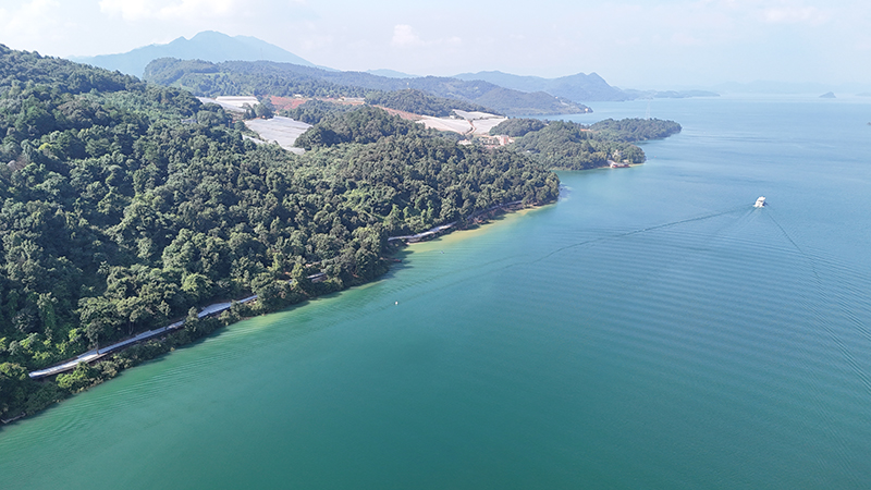 Outdoor bamboo decking at Dongjiang Lake, Chenzhou, China