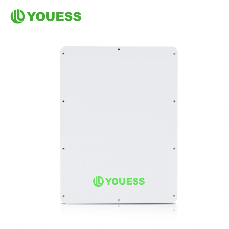 Wall-Mounted Lithium battery