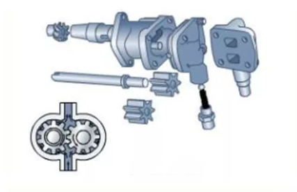 Automotive oil pump structure