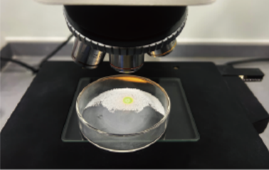 0.05 mm Zirconia Balls