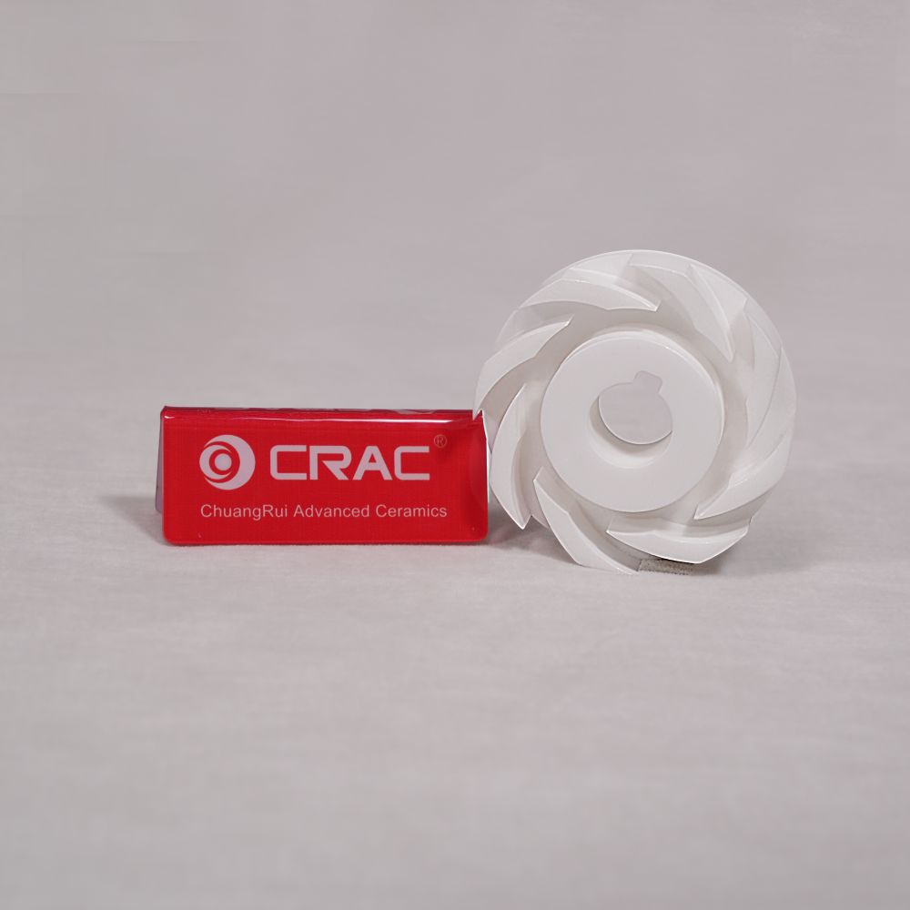 Advanced Ceramic Plunger
