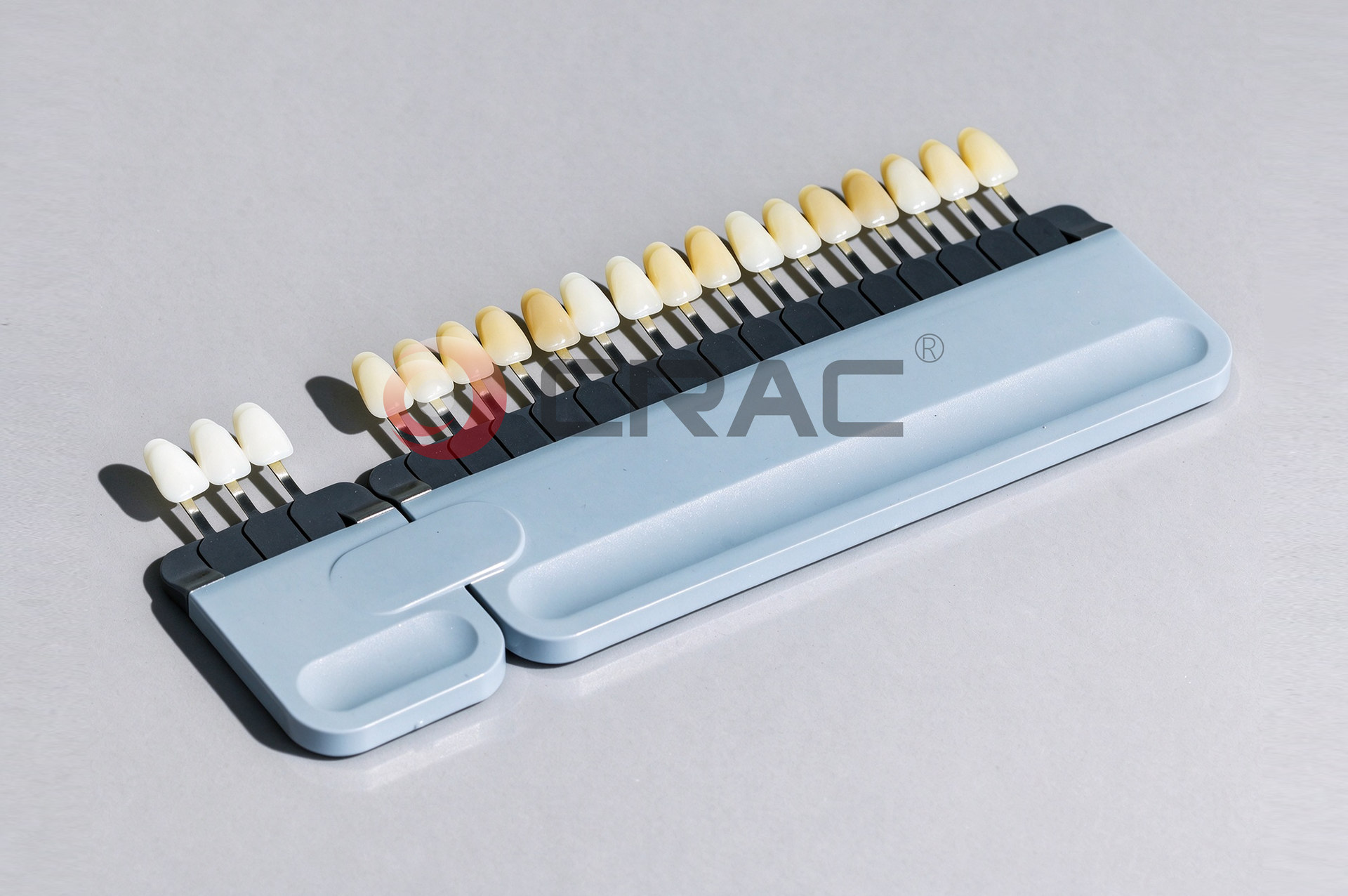 Ceramic Tooth Shell